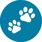paw icon